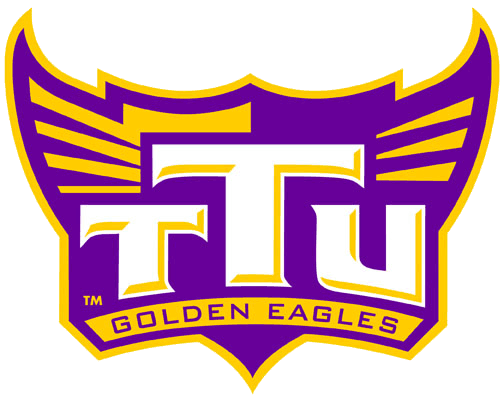 Tennessee Tech Golden Eagles 2006-Pres Alternate Logo v6 diy DTF decal sticker